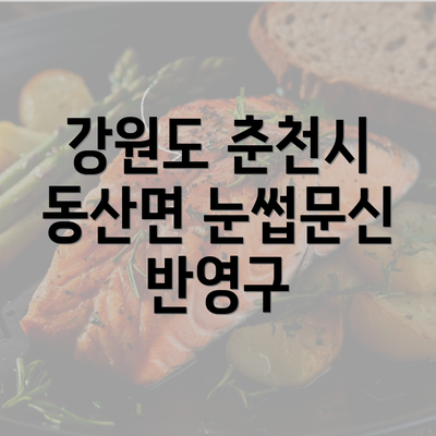 강원도 춘천시 동산면 눈썹문신 반영구