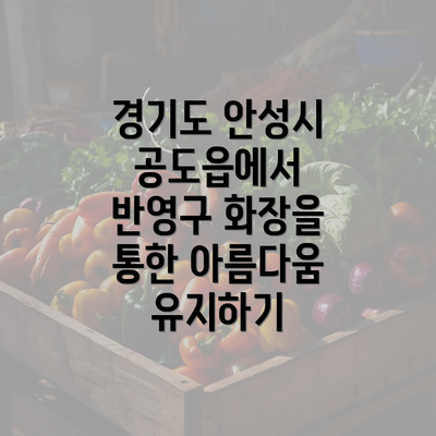 경기도 안성시 공도읍에서 반영구 화장을 통한 아름다움 유지하기