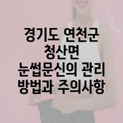 경기도 연천군 청산면 눈썹문신의 관리 방법과 주의사항