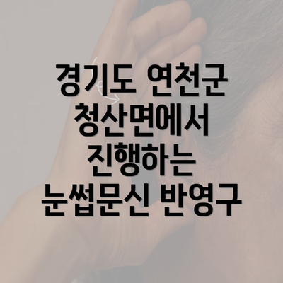 경기도 연천군 청산면에서 진행하는 눈썹문신 반영구