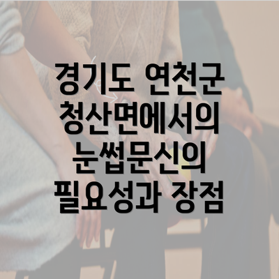 경기도 연천군 청산면에서의 눈썹문신의 필요성과 장점