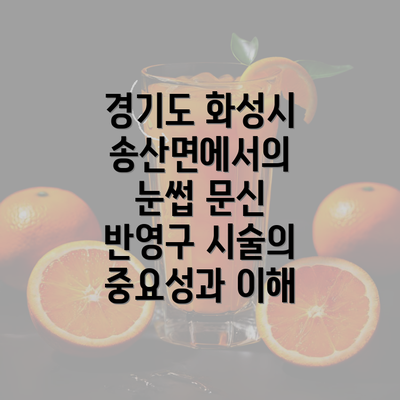 경기도 화성시 송산면에서의 눈썹 문신 반영구 시술의 중요성과 이해