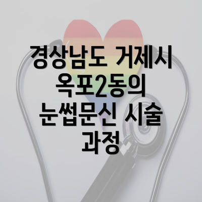 경상남도 거제시 옥포2동의 눈썹문신 시술 과정