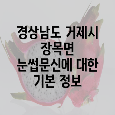 경상남도 거제시 장목면 눈썹문신에 대한 기본 정보