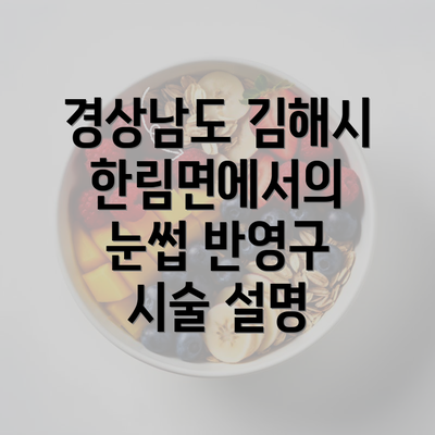 경상남도 김해시 한림면에서의 눈썹 반영구 시술 설명