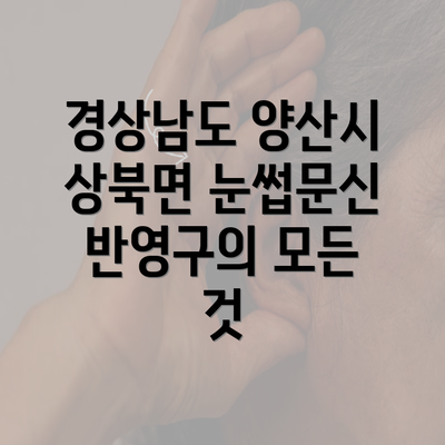 경상남도 양산시 상북면 눈썹문신 반영구의 모든 것