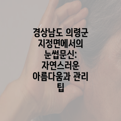 경상남도 의령군 지정면에서의 눈썹문신: 자연스러운 아름다움과 관리 팁