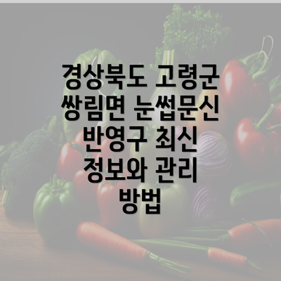 경상북도 고령군 쌍림면 눈썹문신 반영구 최신 정보와 관리 방법