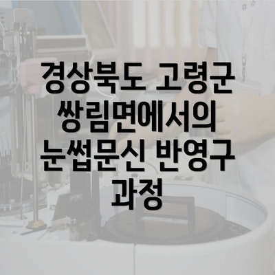 경상북도 고령군 쌍림면에서의 눈썹문신 반영구 과정