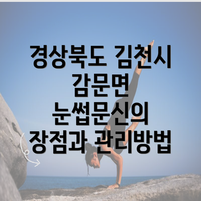 경상북도 김천시 감문면 눈썹문신의 장점과 관리방법