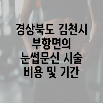 경상북도 김천시 부항면의 눈썹문신 시술 비용 및 기간