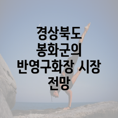 경상북도 봉화군의 반영구화장 시장 전망