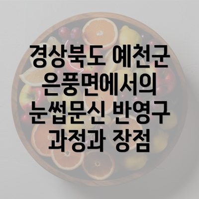 경상북도 예천군 은풍면에서의 눈썹문신 반영구 과정과 장점