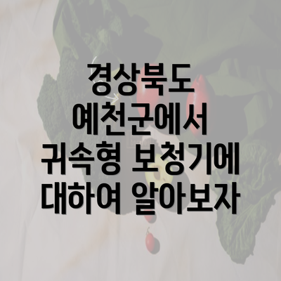 경상북도 예천군에서 귀속형 보청기에 대하여 알아보자