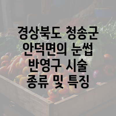 경상북도 청송군 안덕면의 눈썹 반영구 시술 종류 및 특징