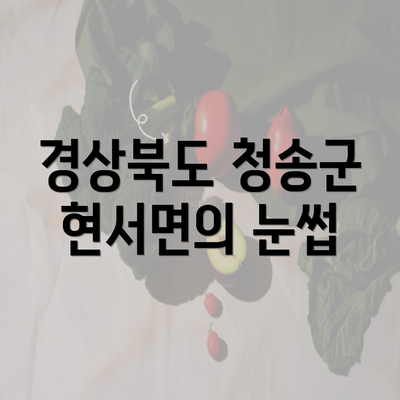 경상북도 청송군 현서면의 눈썹