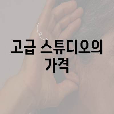 고급 스튜디오의 가격