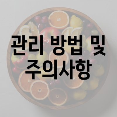 관리 방법 및 주의사항