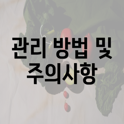 관리 방법 및 주의사항