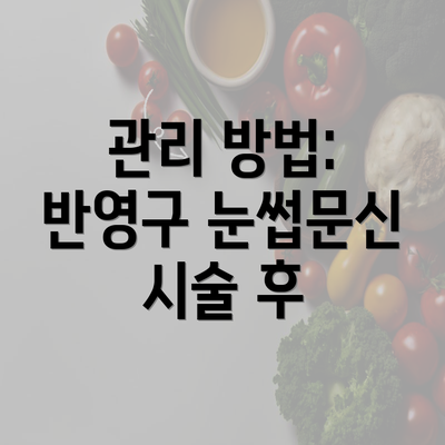 관리 방법: 반영구 눈썹문신 시술 후