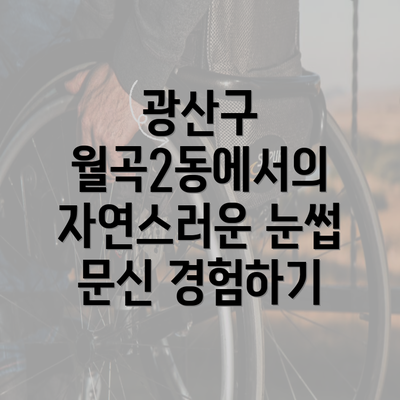 광산구 월곡2동에서의 자연스러운 눈썹 문신 경험하기