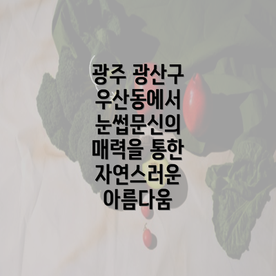 광주 광산구 우산동에서 눈썹문신의 매력을 통한 자연스러운 아름다움