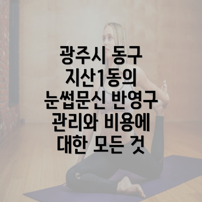 광주시 동구 지산1동의 눈썹문신 반영구 관리와 비용에 대한 모든 것