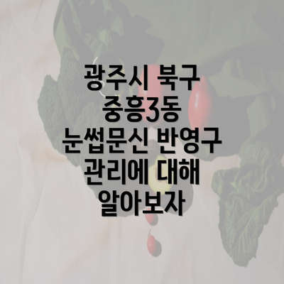 광주시 북구 중흥3동 눈썹문신 반영구 관리에 대해 알아보자