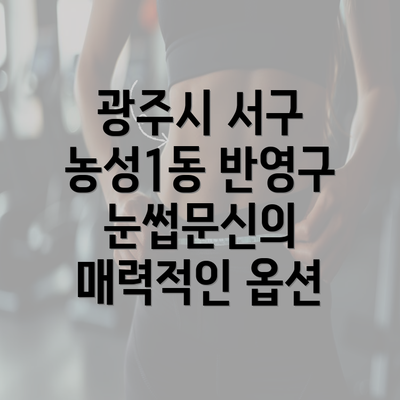 광주시 서구 농성1동 반영구 눈썹문신의 매력적인 옵션