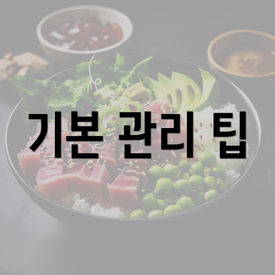 기본 관리 팁