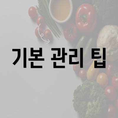 기본 관리 팁