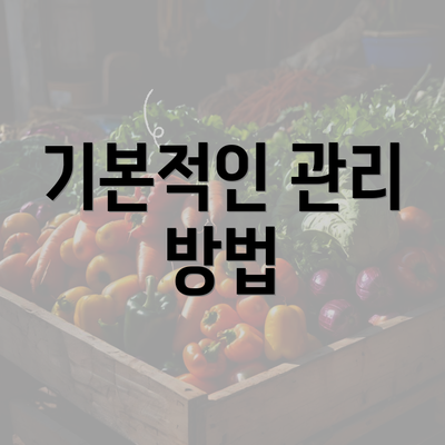 기본적인 관리 방법