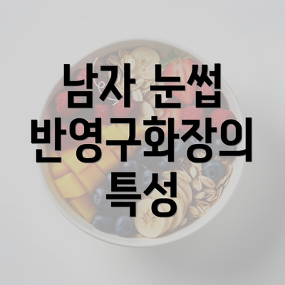 남자 눈썹 반영구화장의 특성