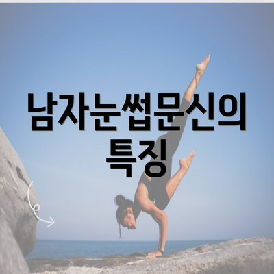 남자눈썹문신의 특징