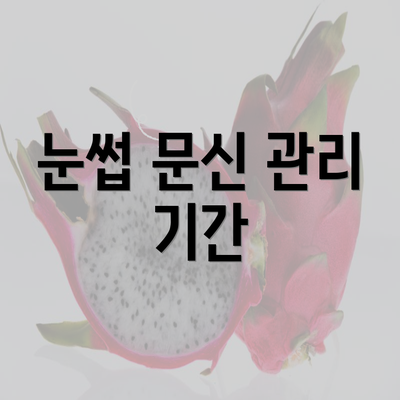 눈썹 문신 관리 기간