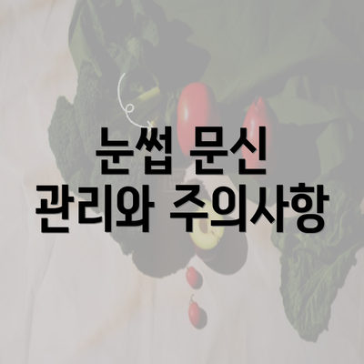 눈썹 문신 관리와 주의사항