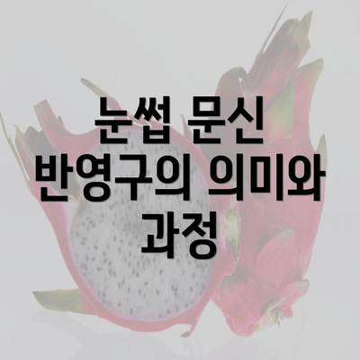 눈썹 문신 반영구의 의미와 과정