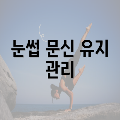 눈썹 문신 유지 관리