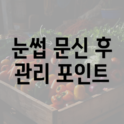 눈썹 문신 후 관리 포인트