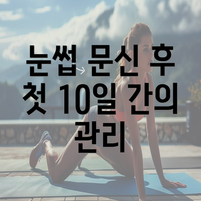 눈썹 문신 후 첫 10일 간의 관리