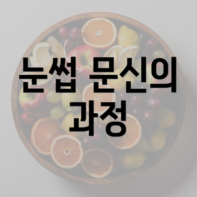 눈썹 문신의 과정