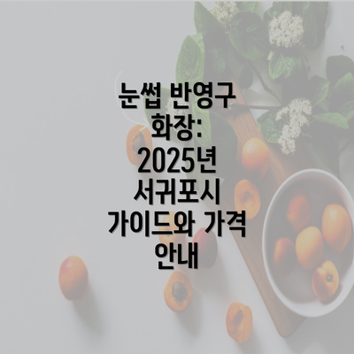 눈썹 반영구 화장: 2025년 서귀포시 가이드와 가격 안내