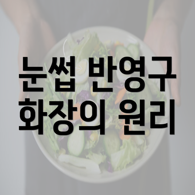 눈썹 반영구 화장의 원리