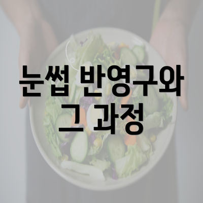 눈썹 반영구와 그 과정