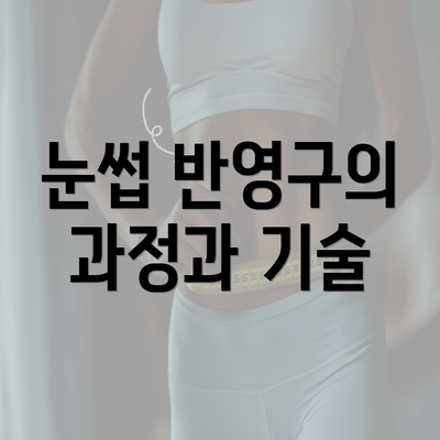 눈썹 반영구의 과정과 기술