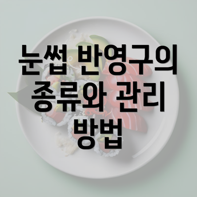 눈썹 반영구의 종류와 관리 방법