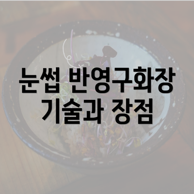 눈썹 반영구화장 기술과 장점