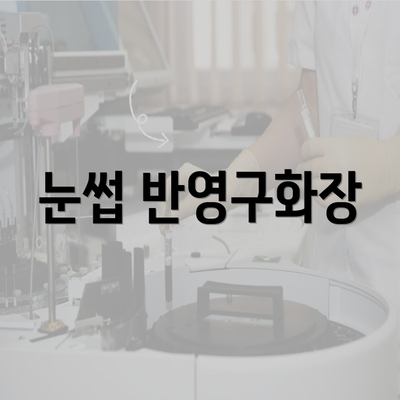 눈썹 반영구화장