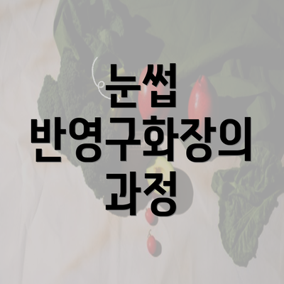 눈썹 반영구화장의 과정