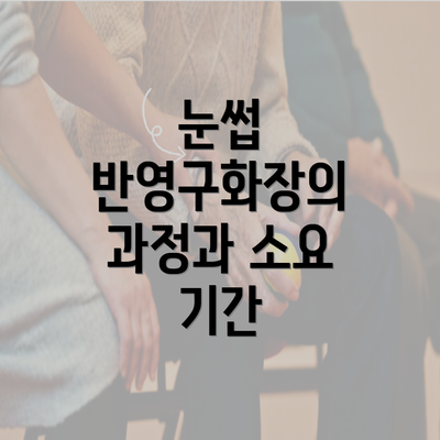 눈썹 반영구화장의 과정과 소요 기간